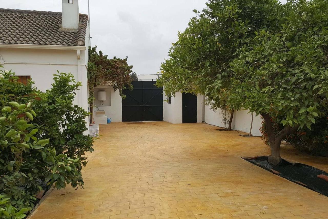 Gran Casa Rural Con Patio En Encinarejo De Cordoba Ngoại thất bức ảnh
